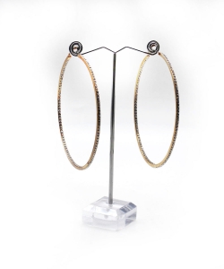 Fashion Hoop Earrings EH910475 GOLD